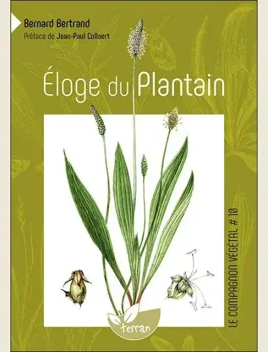 Eloge du plantain – Vol. 10